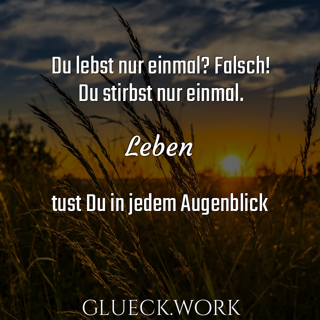 Du lebst nur einmal? Falsch!
Du stirbst nur einmal.

Leben

tust Du in jedem Augenblick
