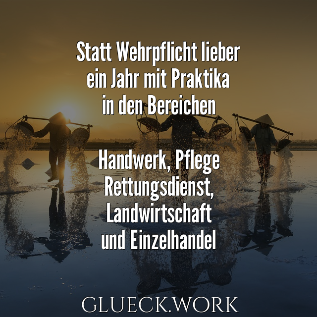 Statt Wehrpflicht lieber 
ein Jahr mit Praktika 
in den Bereichen

Handwerk, Pflege
Rettungsdienst, 
Landwirtschaft
und Einzelhandel